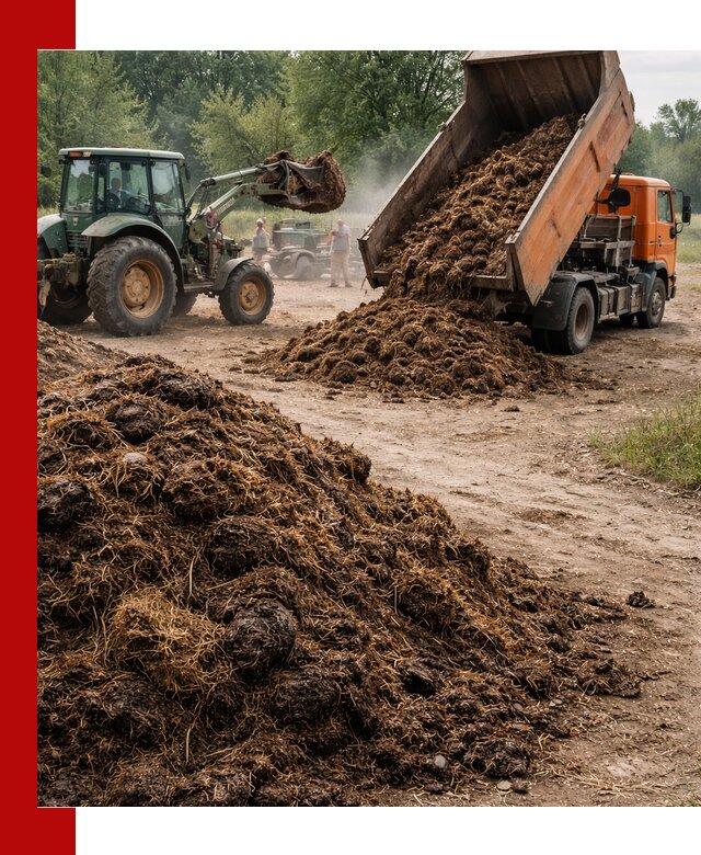 Доставка навоза самосвалами в Кондопоге для сельхозпотребностей